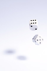 Bouncing Dice