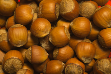 Hazelnut. Filbert. Nuts macro. Food background