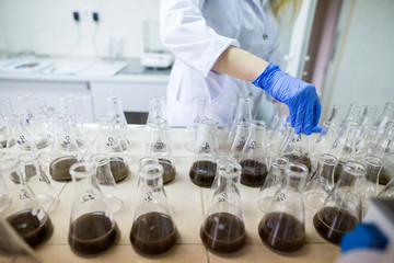 Hands of the scientist in laboratory shake a glass flasks with dissolved samples of the soil....