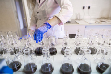 Fototapeta premium Hands of the scientist in laboratory shake a glass flasks with dissolved samples of the soil. Agrochemical examination of soil to more efficient use resources and optimize the use of fertilizers.