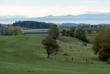 Fototapeta na wymiar Panorama Rolgenmoos in Horgenzell 