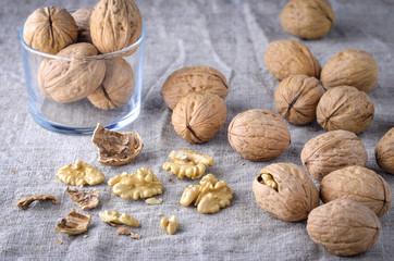 Walnuts on canvas. The shell of the nuts, nut core.