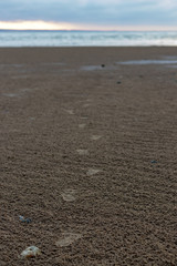 Foot prints on sandy beach