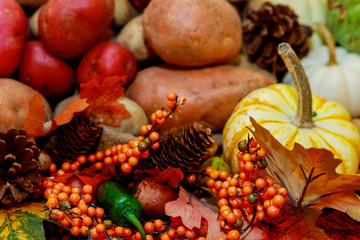 Healthy food background with autumnal vegetables and fruits. Autumn fruits vegetables and leaves. Thanksgiving day concept. Top view