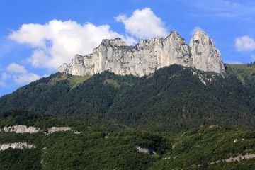 Fototapeta na wymiar Forêt dans les alpes françaises. / Forest in the French Alps.