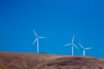 wind turbines in desert
