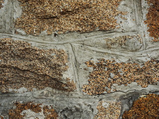 texture of granite and cement