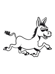 esel süss lachen tier muli lustig natur baby kind vierbeiner laufen freude muli grautier sonnenbrille einfarbig