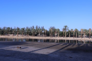 View of the river in the city