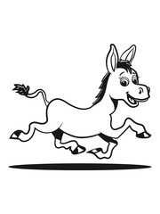 esel süss lachen tier muli lustig natur baby kind vierbeiner laufen freude muli grautier 1c