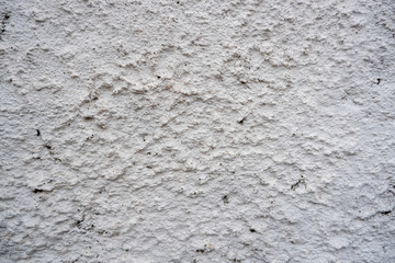 White Wall Texture