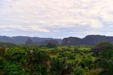 Fototapeta na wymiar beautiful green valley of cuba