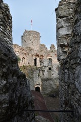 zamek w Ogrodzieńcu - obrazy, fototapety, plakaty