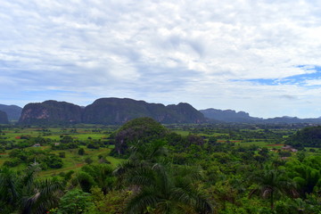 Fototapeta na wymiar scenic view of vinales valley