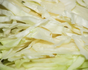Slices of white cabbage, macro