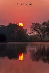 Sunrise on a lake with geese.