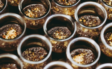 chocolate food congress