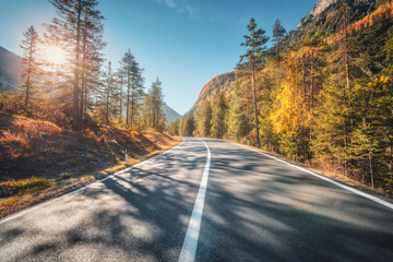 Road in autumn forest at sunset in Italy. Beautiful mountain roadway, trees with orange foliage and sunlight. Landscape with empty asphalt road through woodland, blue sky in fall. Transportation