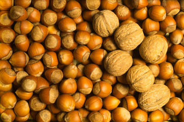 Hazelnuts and walnuts background
