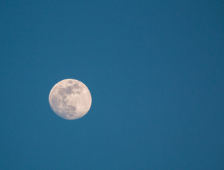 Naklejka na ściany i meble Full moon in the night blue sky