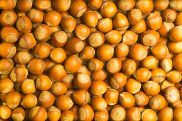 Hazelnut. Filbert. Nuts macro. Food background