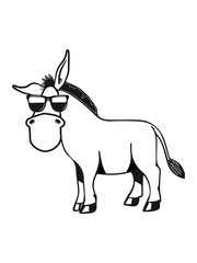 esel cool tier muli lustig natur vierbeiner muli grautier sonnenbrille einfarbig