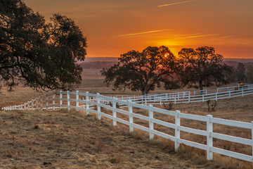 Sunsetting on the ranch