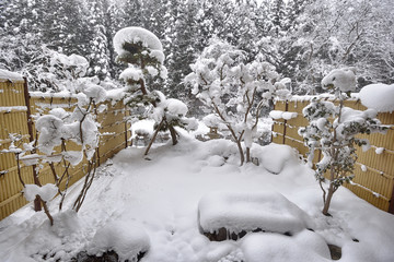 Courtyard covered by snow in Japan   