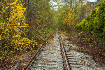 Fototapeta premium abandoned railway tracks inside forest covered with fall leaves