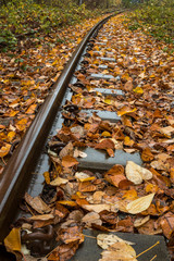 abandoned railway tracks covered with yellow fall leave after rains