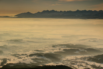 Jagged peaks of Tatry Wysokie / Vysoke Tatry range rise above sea of fog in snowy Podhale basin in glowing sunlight at dawn from Babia Gora summit, Malopolska Zakopane Poland / Slovakia Eastern Europe