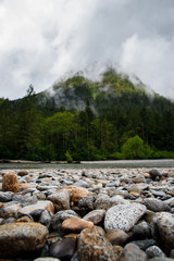 Obraz premium Cloud Over The Forest