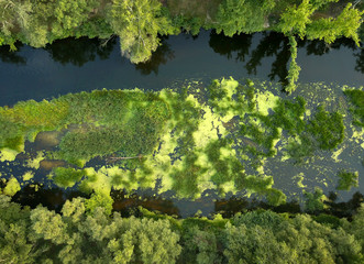 Top view of the river, marshland and trees on the riverbanks