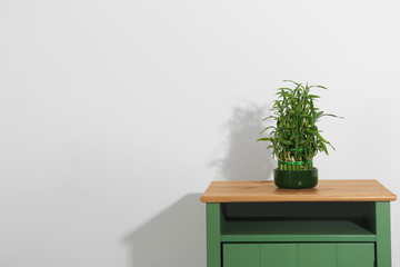 Pot with green bamboo on nightstand against light background. Space for text
