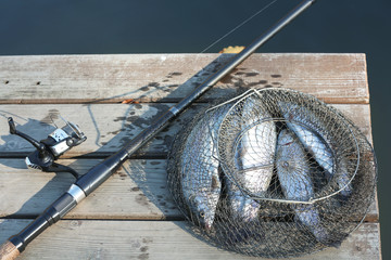Fishing rod and fresh fish on wooden pier near pond