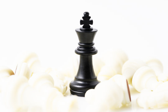Set of Black and white chess pieces on white background