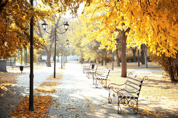 Picturesque landscape of autumn park on sunny day