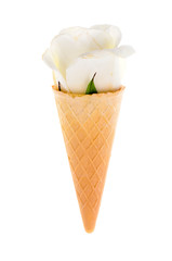 Roses in awafer ice cream cone