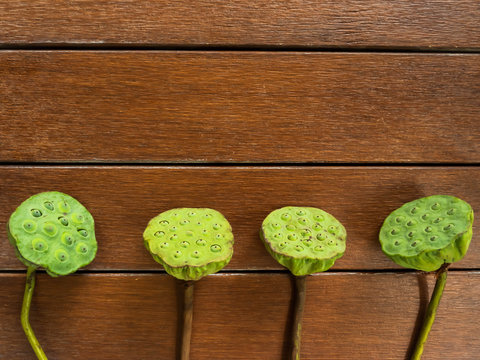 lotus pods put in order on wooden planks table top,background.