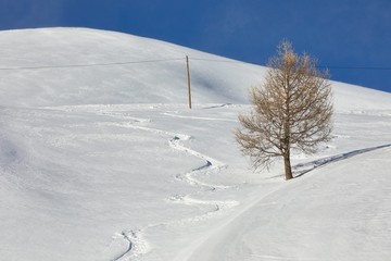Ski Slope with Fresh Curves