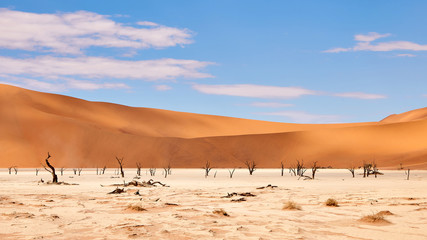 Namibian desert landscape