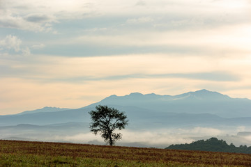 Obraz premium 北海道美瑛の風景