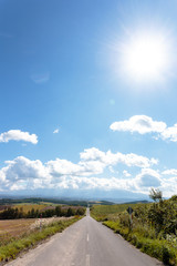 北海道美瑛の風景