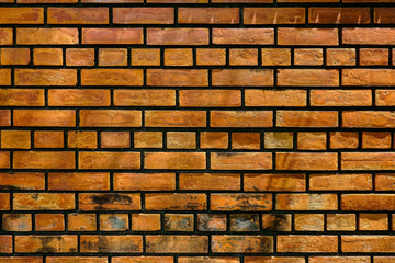 Fototapeta premium tło ściany z cegły