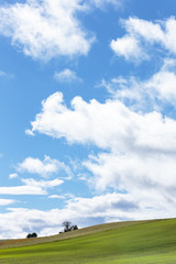 北海道美瑛の風景