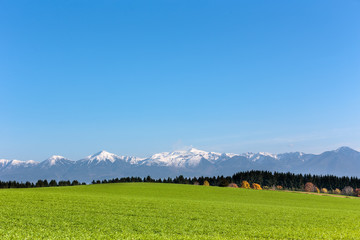 北海道美瑛の風景