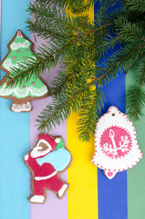 Christmas and new year baking on bright background