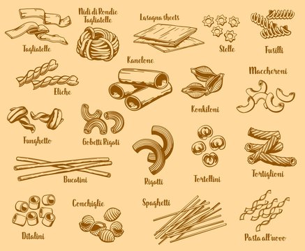 Italian pasta types and names, vector