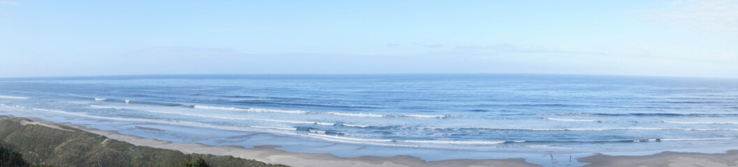 Panorama of sandy beach and dunes along the Pacific coast © cascoly2
