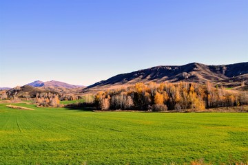 landscape with green field and blue sky